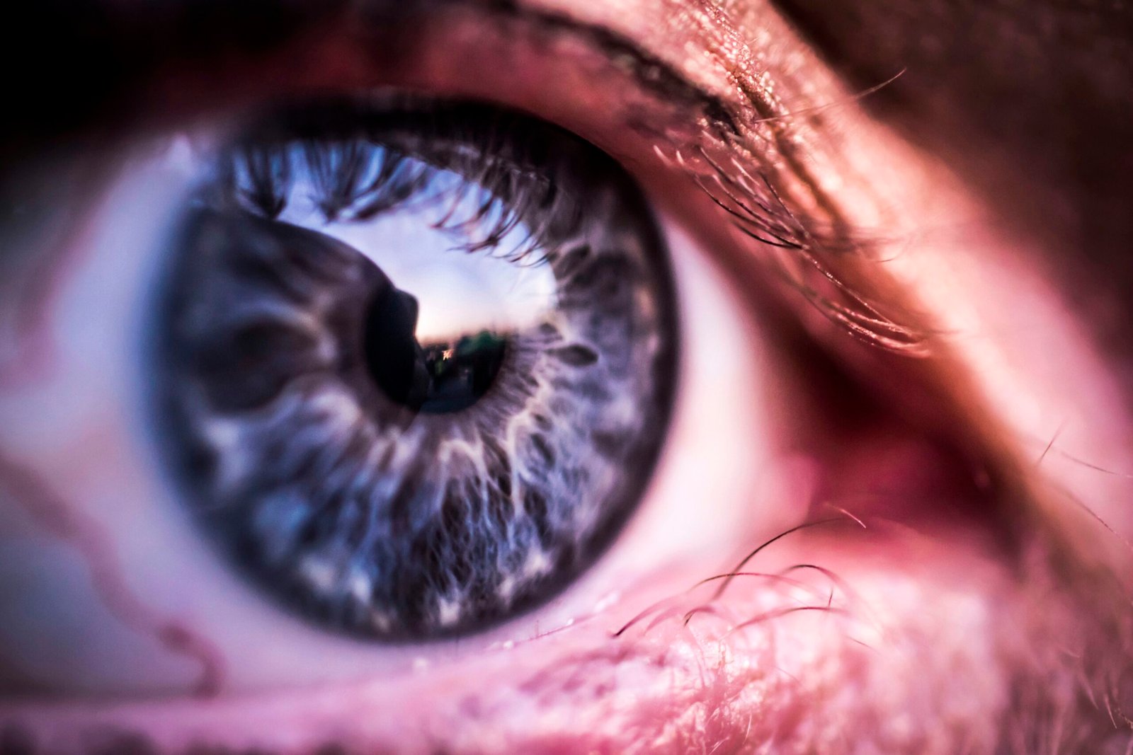 photo-1536769064180-540a78421d26