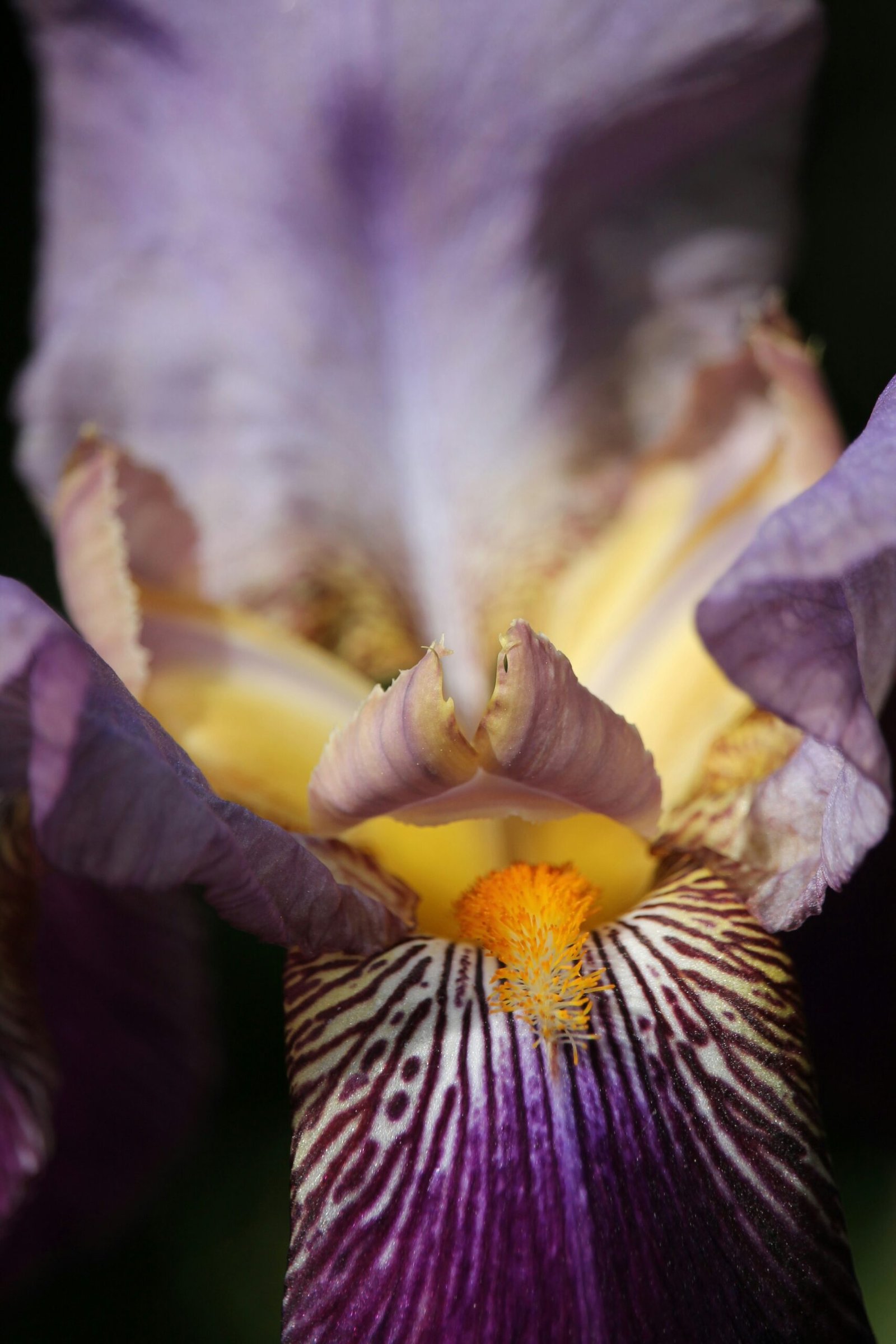 photo-1540384420870-1ca70fde8642