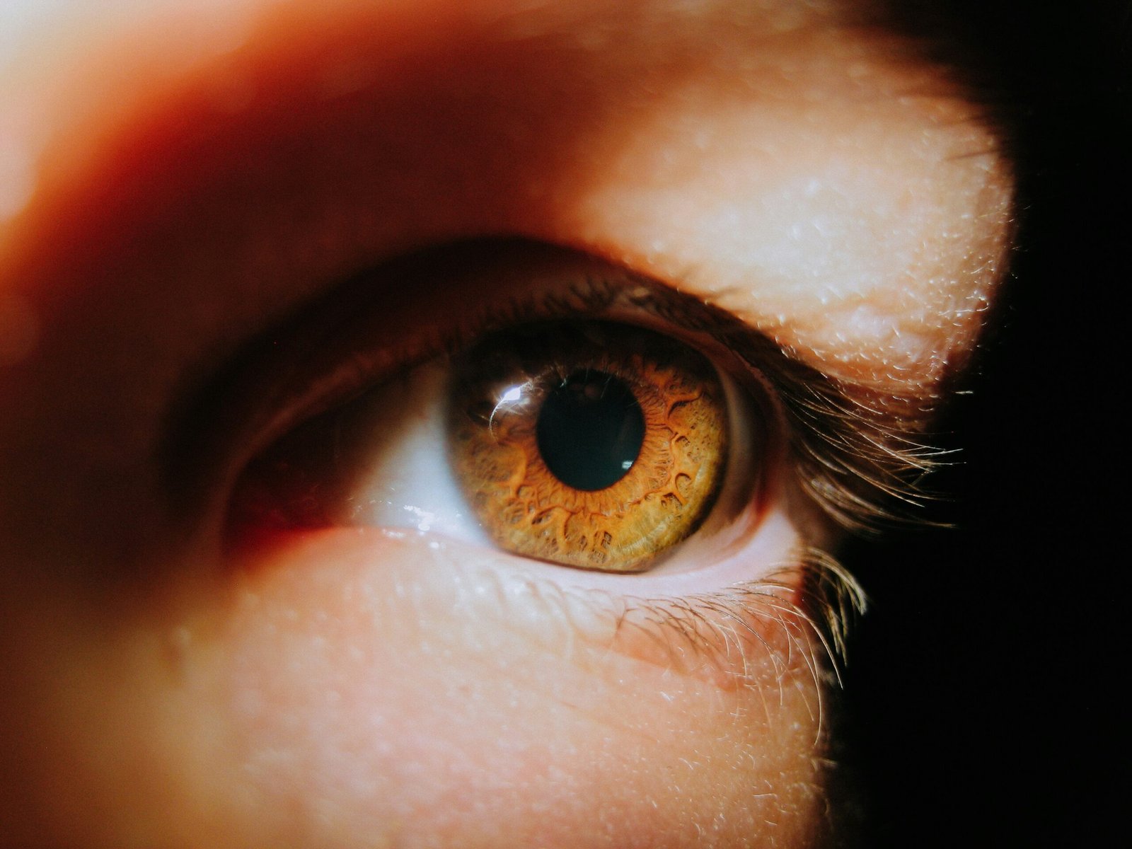 photo-1681236182299-3ee97d8f93d5