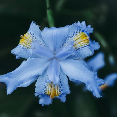 photo-1613852133115-53da37616b9c