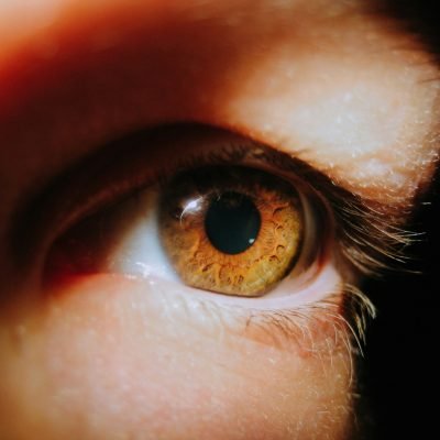 photo-1681236182299-3ee97d8f93d5